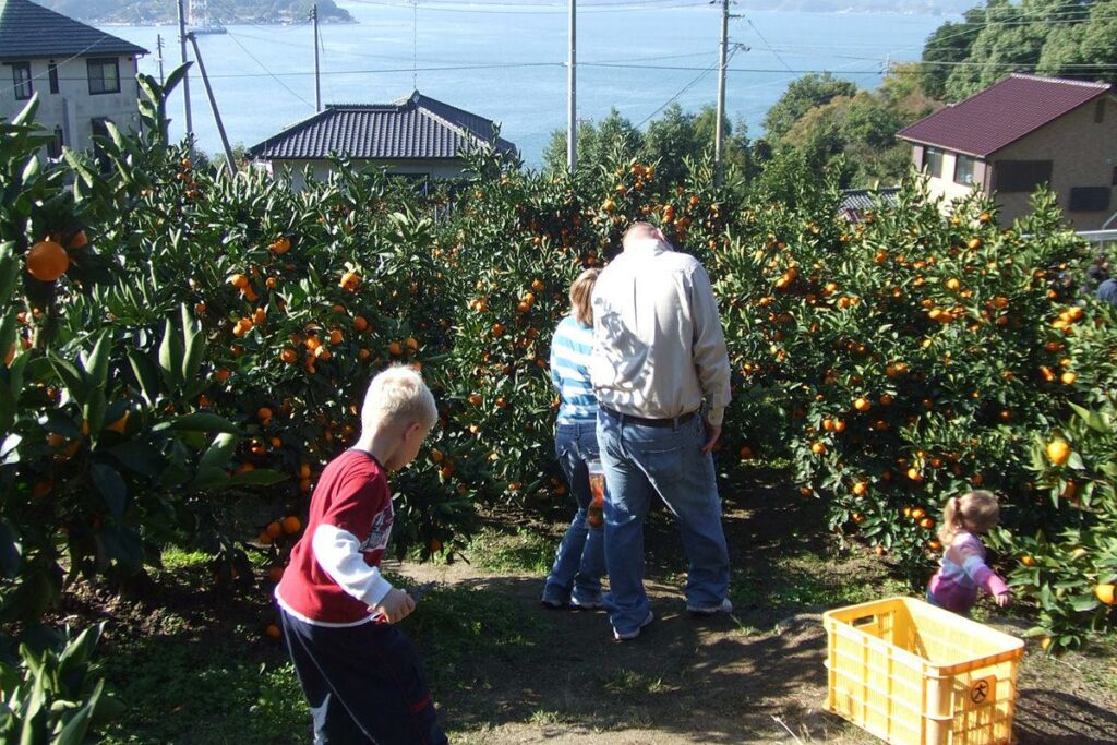 松田園（周防大島町）