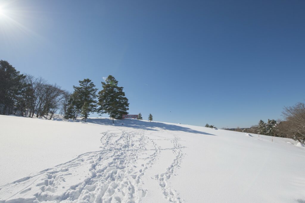 スノーフィールドもみのき森林公園