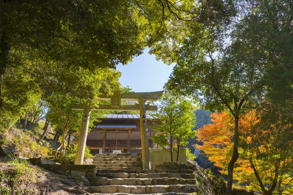 水分峡森林公園