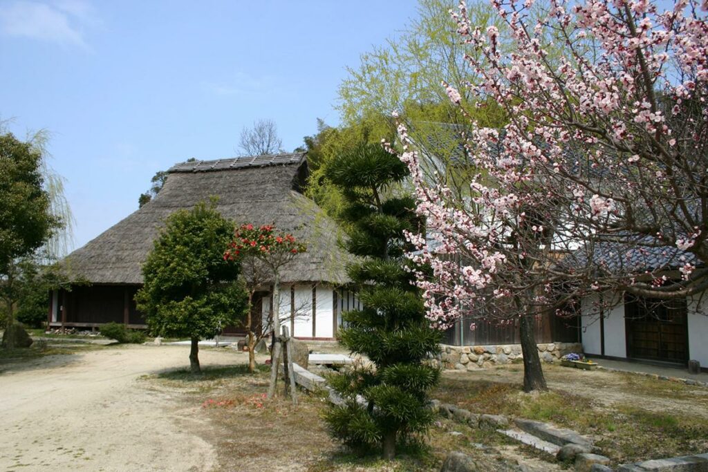 陶芸制作（周防大島町 八幡生涯学習のむら陶芸の館）