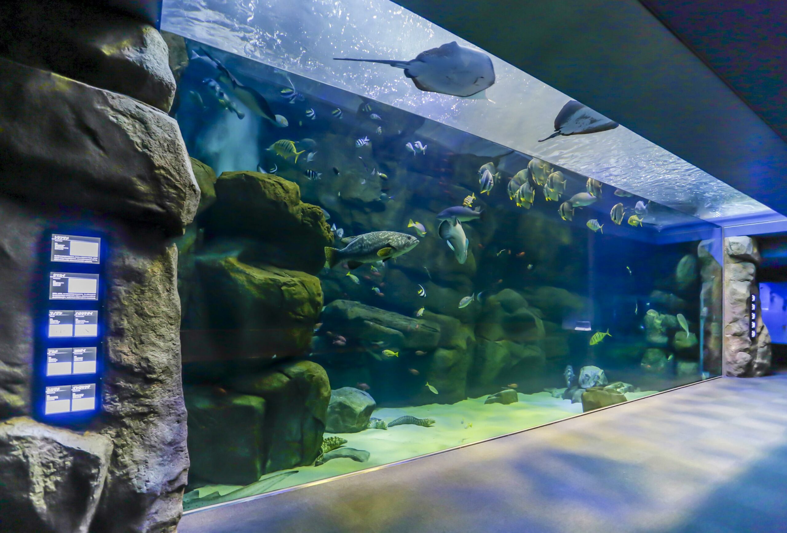 宮島水族館(みやじマリン)