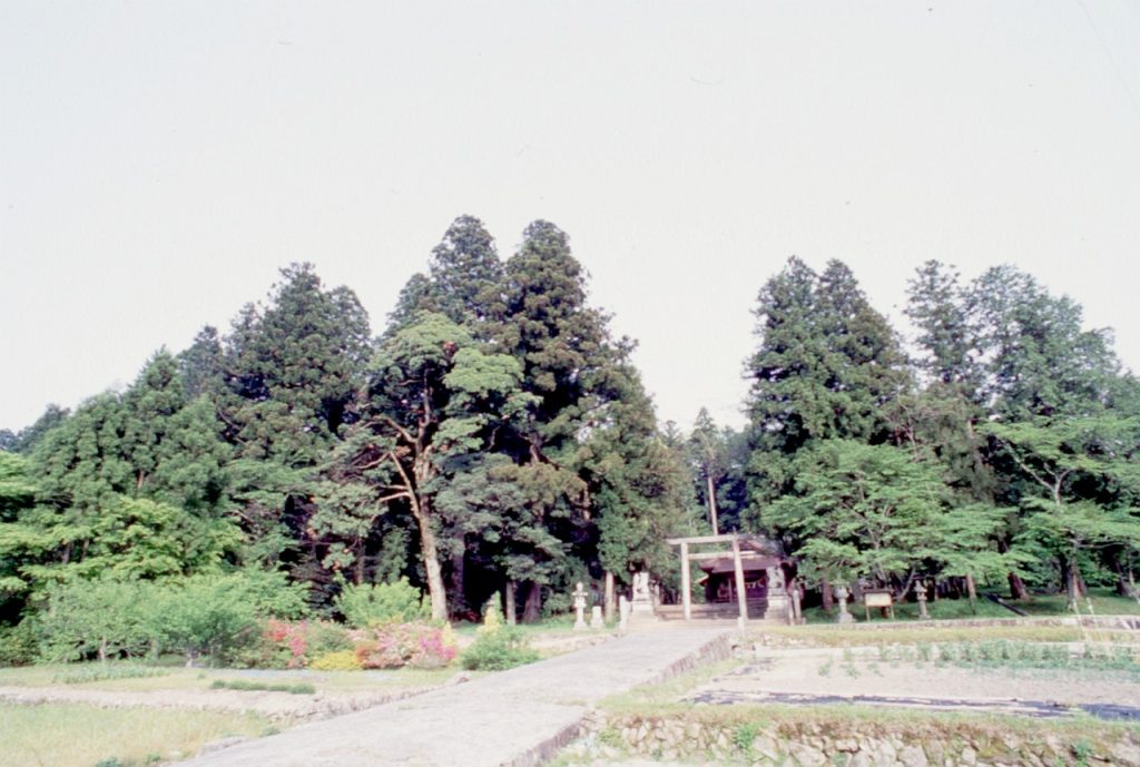 阿刀明神社(あとみょうじんじゃ)の社叢(市指定天然記念物)