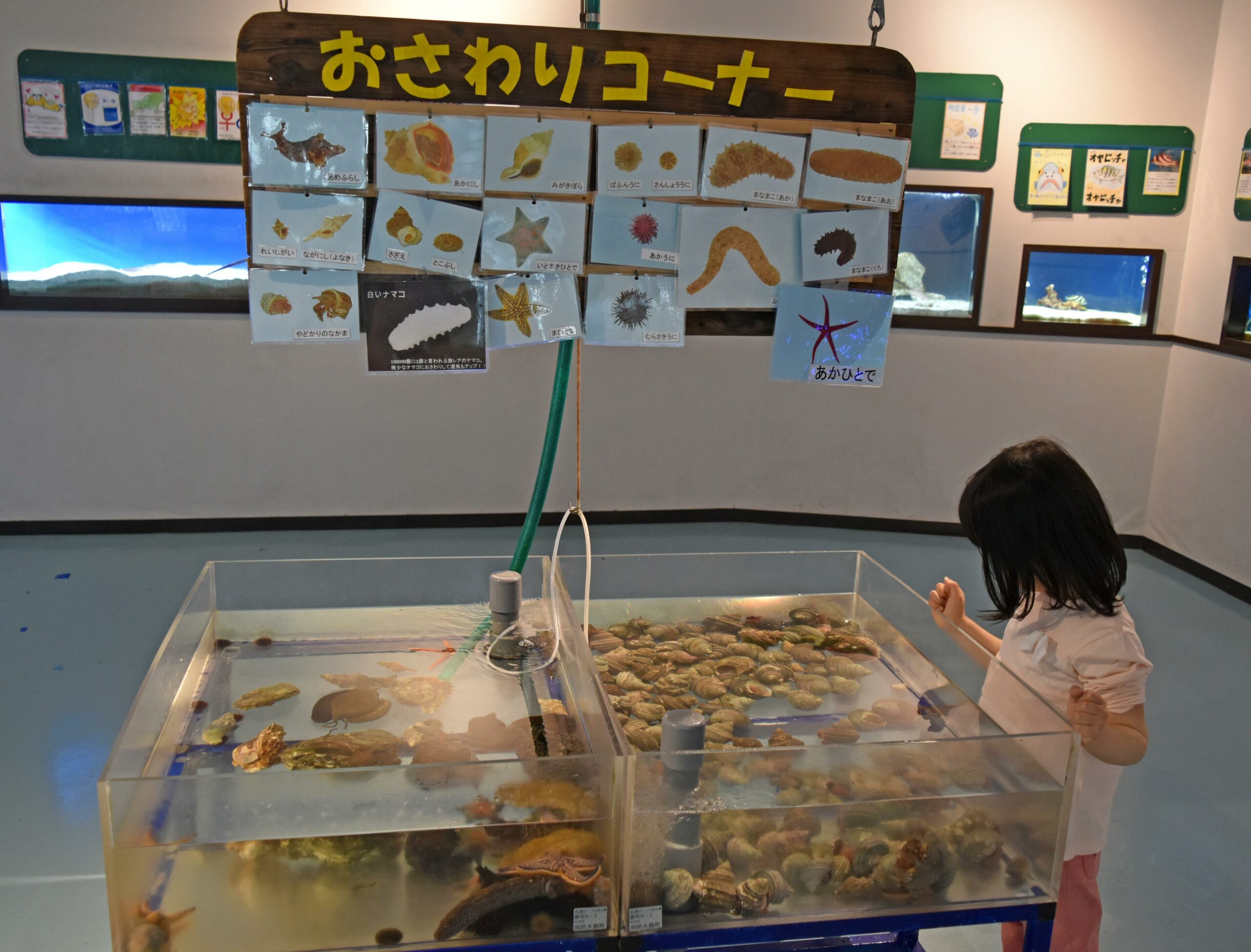 なぎさ水族館